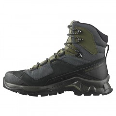 Мужские ботинки Salomon Quest Element GORE-TEX